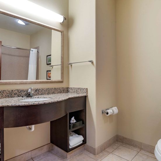 Bathroom view of Comfort Inn and Suites Scott-West Lafayette