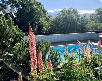 Auvergne 3 Comfortable Cottages Heated Swimming Pool From June To September - Ardes - Piscine