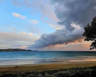 Cloud9 Curio Bay, Beachfront, Porpoise Bay. - Waikawa - Playa