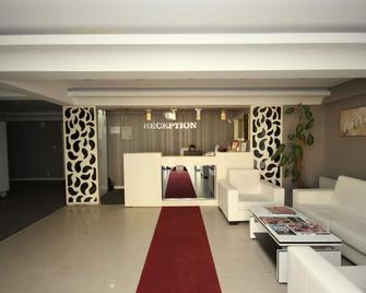 Blue Marine Hotel - Istanbul - Recepció