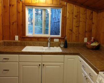Cabin in the Woods Near Yosemite - Coarsegold - Kitchen