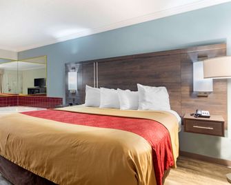 Econo Lodge Byron - Warner Robins - Byron - Slaapkamer