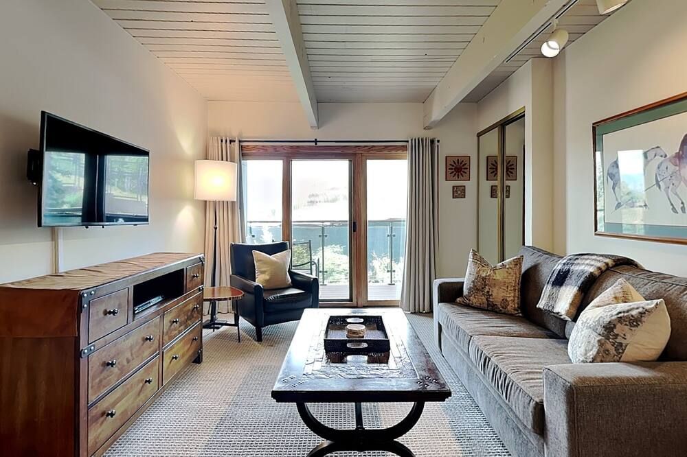 Timberline 214 Studio Deluxe ~ Hot Tub~Pool~WiFi~Ski-in/out~Local Shuttle - Snowmass Village - Wohnzimmer