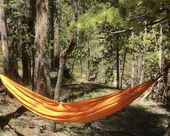Escape To River Song Refuge~on The N. Fork Of The Cache La Poudre River! - Red Feather Lakes - Outdoors view
