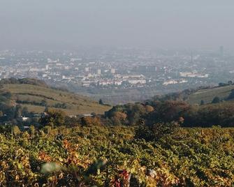 hideauts hotels Villa R - Vienna - Outdoor view