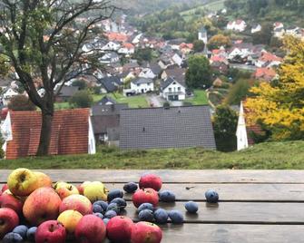 Dalhausen, Am Schönste Aussicht - Beverungen - Außenansicht