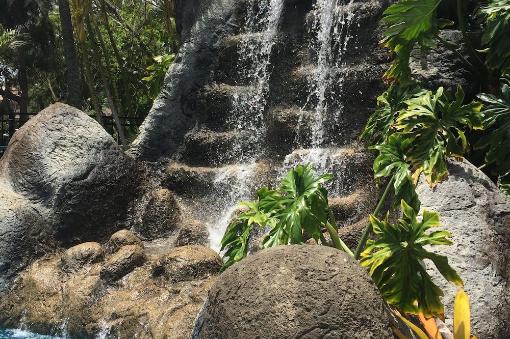 Hotel Coral Reef - Kapaa
