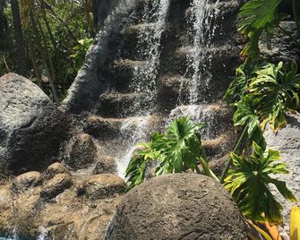 Hotel Coral Reef - Kapaa