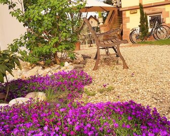 Hôtel Le Manoir - Obernai - Cảnh ngoài trời