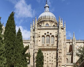 El Patio De La Catedral - Salamanca