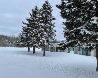 Ambassador Motel - Sault Ste Marie - Vista del exterior