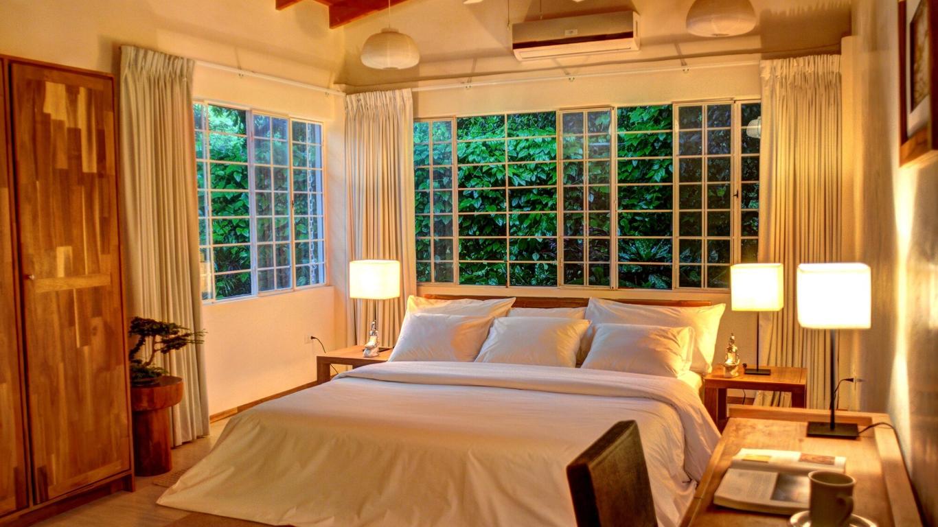 Moana Surf Resort