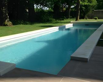 Le Clos des Ormeaux - Vineuil - Pool