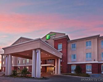 Holiday Inn Express Hotel and Suites Fort Stockton - Fort Stockton - Bygning