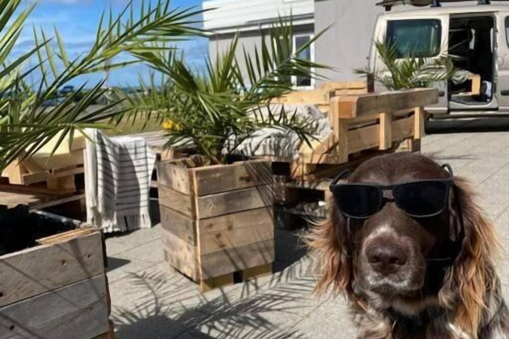 B&B by the Sea Hirtshals - Hirtshals
