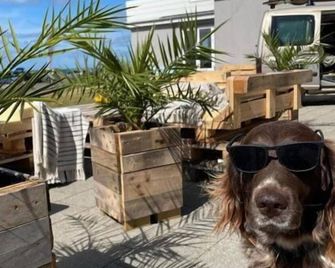 B&B by the Sea Hirtshals - Hirtshals