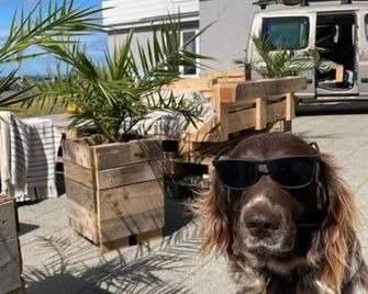 B&B by the Sea Hirtshals - Hirtshals