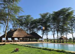 Africa Safari Lake Manyara - Mto wa Mbu - Piscine