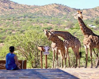 Windhoek Game Camp - Windhoek