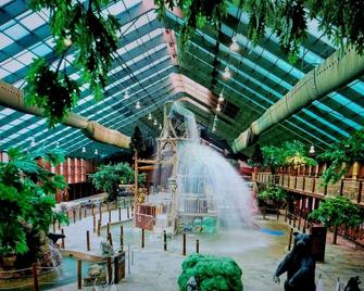 韋斯特蓋特斯莫基山溫泉度假酒店 - 加特林堡 - 蓋特林堡 - 室外景