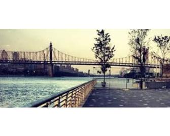 beautiful 3 bedroom house - Queens - Pool
