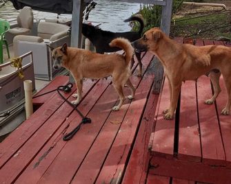 River Bend Resort Belize - Ciudad de Belice