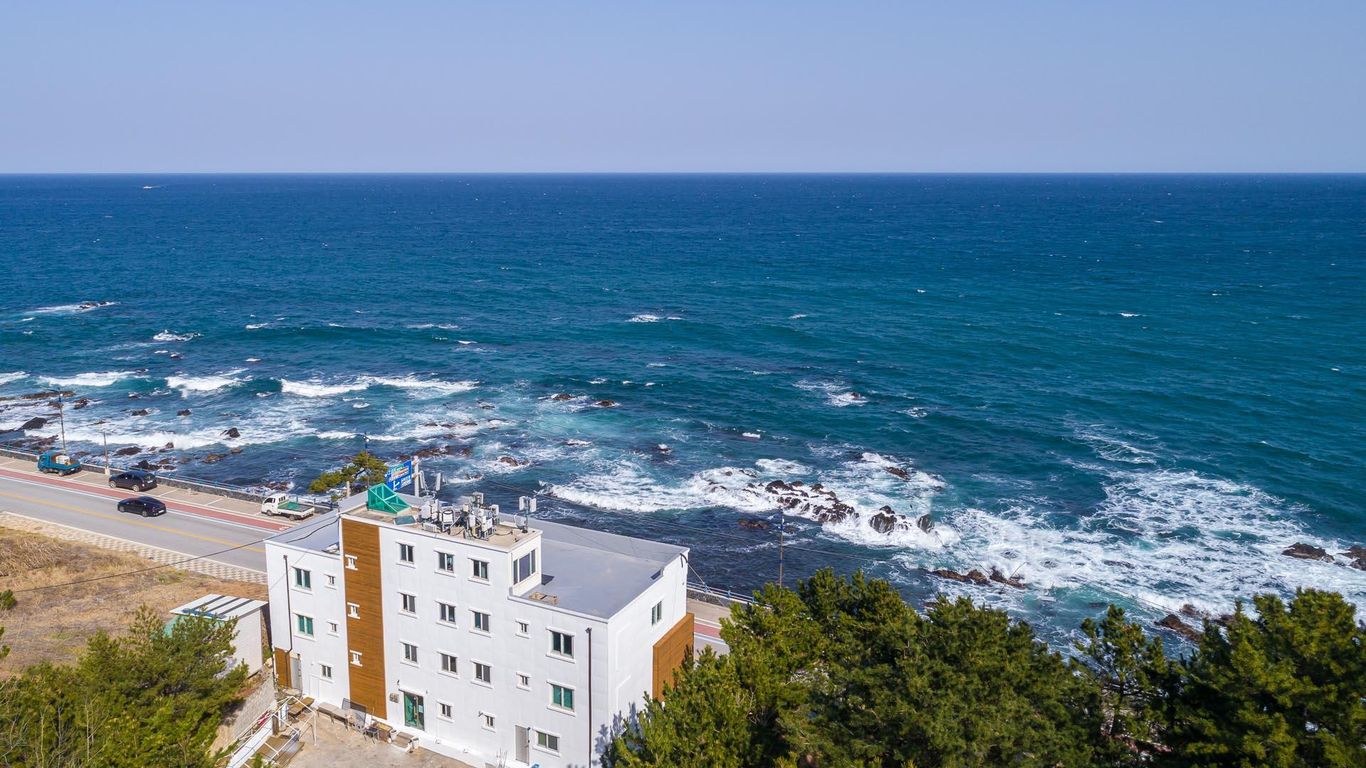 Donghae Olive Pension