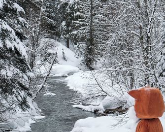 Fernie Fox Hotel - Fernie