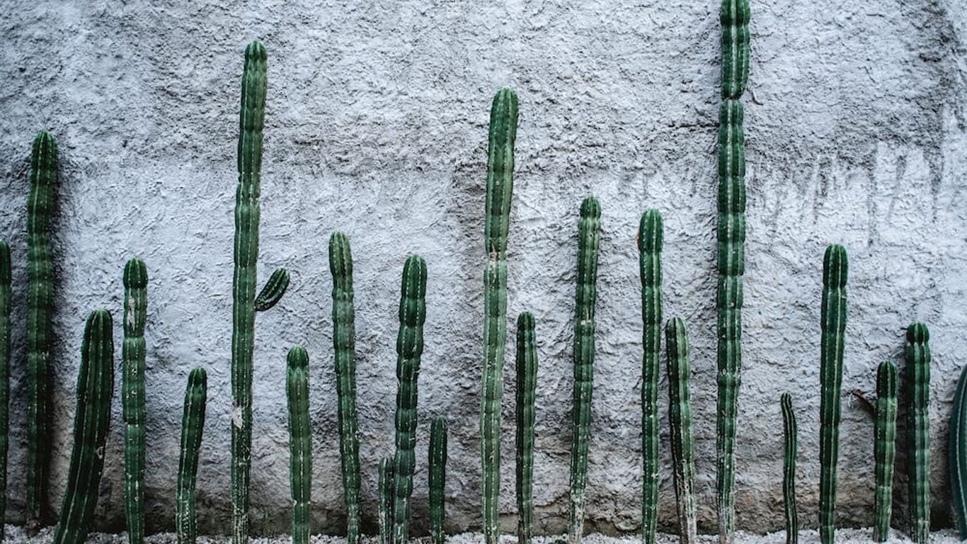 Residencia Tropical Don Bonito