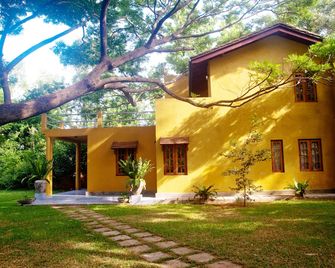 Raintree - Dambulla - Building