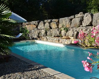Magnificent 19th century stone Mas, large swimming pool, large wooded property - Les Vans - Piscina