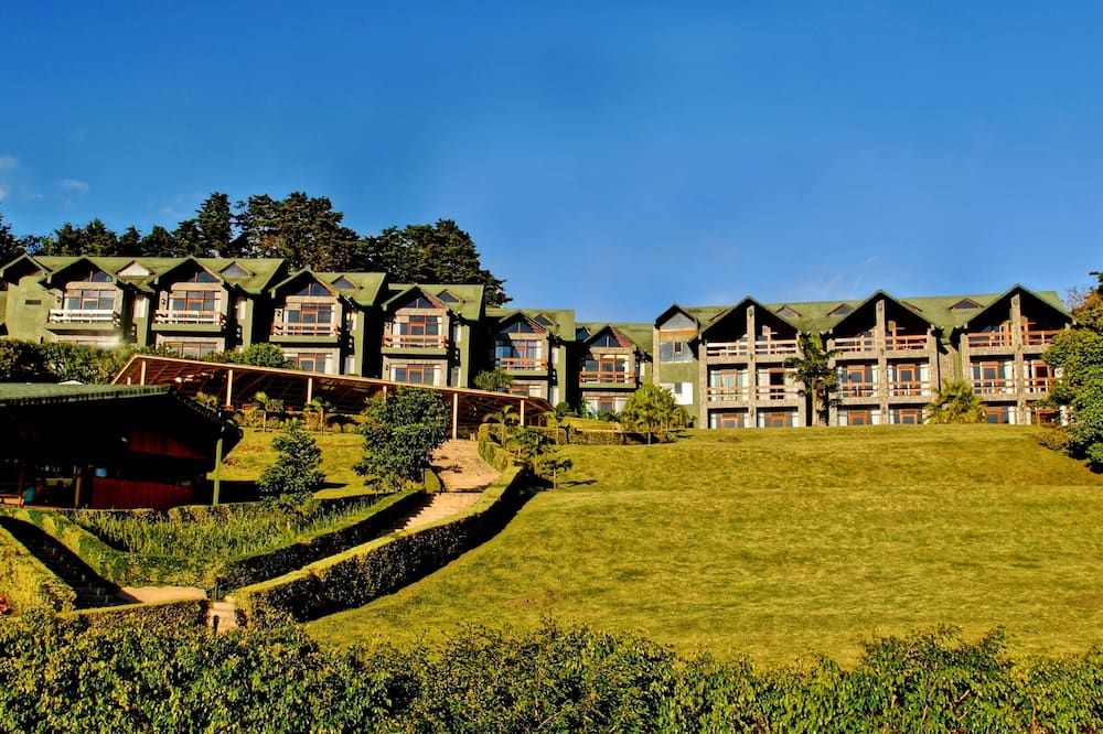 El Establo Mountain Hotel - Monteverde