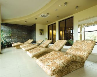 Hotel Dziki Potok Karpacz Konferencje & Spa - Karpacz - Reception