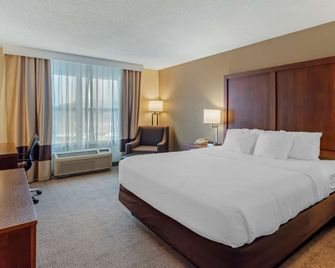 Comfort Inn & Suites Dover near Speedway - Dover - Ložnice