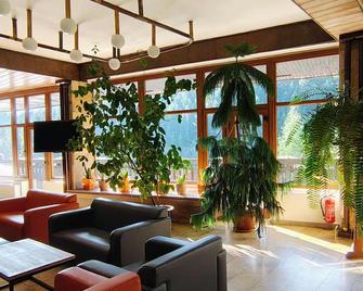 Olw Smrek W Piwnicznej - Piwniczna-Zdrój - Lobby