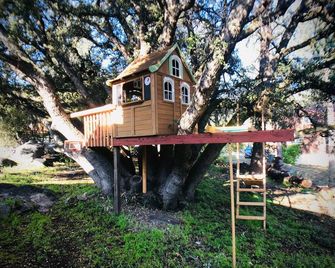 Log cabin w/sauna, cinema, deck, tree house, trampoline AND easy walk to town. - Pine Mountain Club - Building