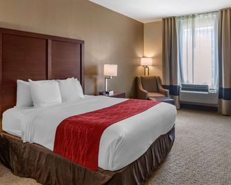 Comfort Inn & Suites Villa Rica - Villa Rica - Ložnice