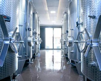 Double room 'Seligmacher' - Weingut Gästehaus Hechtmann - Ilbesheim bei Landau in der Pfalz - Gym