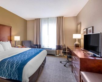 Comfort Inn and Suites Lynchburg Airport - University Area - Lynchburg - Habitación
