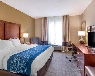 Comfort Inn and Suites Lynchburg Airport - University Area - לינצ'בורג - חדר שינה