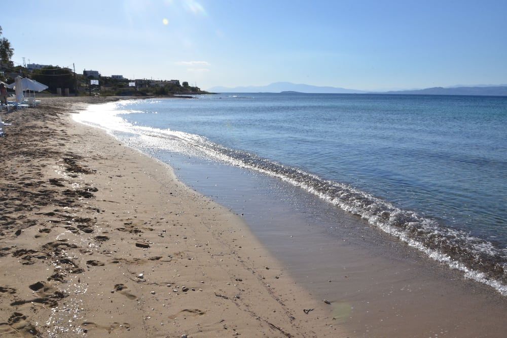 Vagia Beach Apartments, Aegina Island - Aegina - Pláž