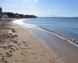 Vagia Beach Apartments, Aegina Island - Aegina - Pláž