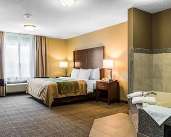 Comfort Inn Lancaster County - Columbia - Habitación