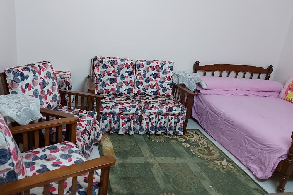 Excellent furnished apartment ready to move in quite area at Maadi - קהיר - סלון