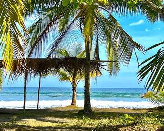 Casa los Sueños - Beachfront house with pool - Esterillos Este - Playa