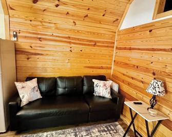 Walking Distance to Lake James: Resort Amenities - Marion - Living room