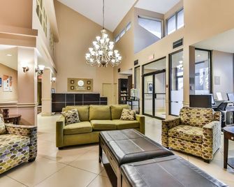 Comfort Inn & Suites Ambassador Bridge - ווינדזור - סלון