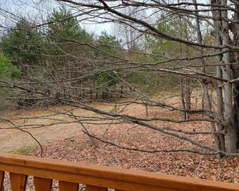 Log Cabin Tiny Home Getaway on 22 acres - Cadillac - Balcony