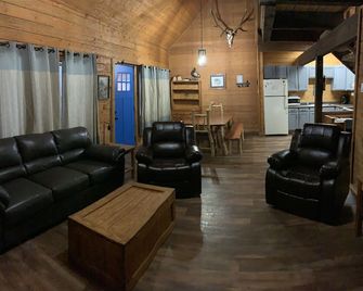 'Rocky Top' Log Cabin with Views! - Now Open Year Round! - Cabin 2 - Lake City - Living room