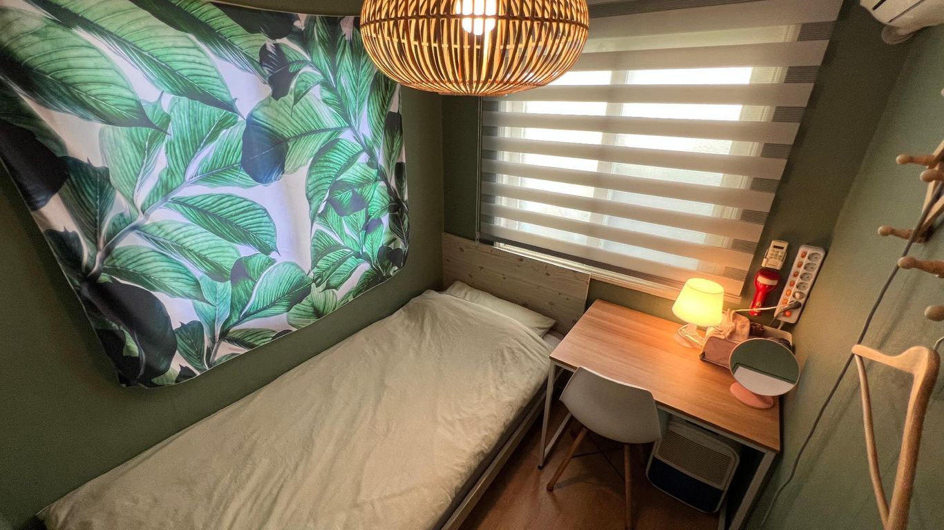 جيجو جرين داي جيست هاوس